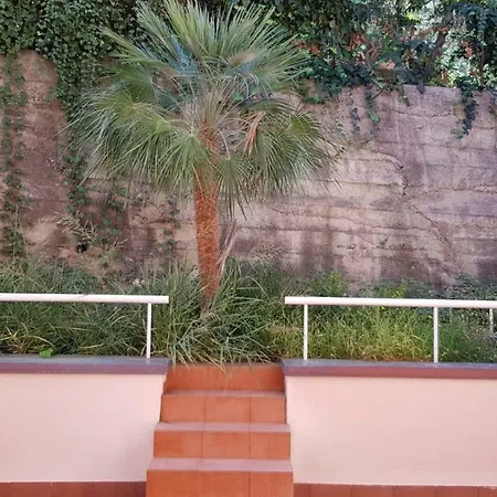 Begonie House Apartman